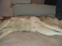 DSC02006 Seitliche Perspektive