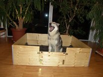 DSC02150 *gäääääähn*