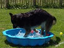 DSC05942 Yuma in ihrem Element.