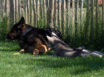 DSC05971 Huhu Tante Yuuuumaaaaa....