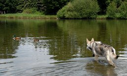 DSC_0898