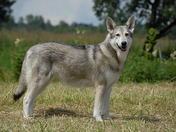 05-07-2009 Babybauch