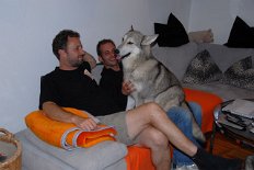 DSC_1019 Ende der 7. Woche war Besuch aus Liechtenstein da. Alex ist der Besitzer von Nisha's Sohn Aiko aus unserem A-Wurf. Nisha fand es klasse, daß sie noch jemanden...