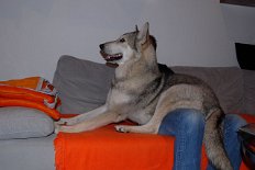 DSC_1029 Langsam hinlegen...