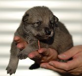 DSC_4244_Byorka_14_Tage 14 Tage alt