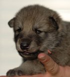 DSC_4261_Byorka_14_Tage 14 Tage alt