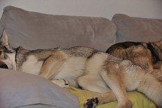 DSC_9300 Kleine Kugel.