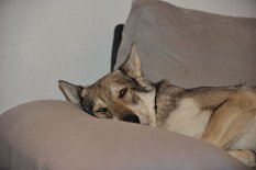 DSC_9301 Wer stört?