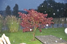 DSC_9331 der erste Schneefall im Oktober