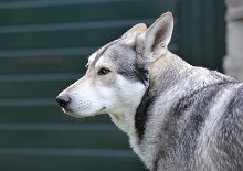 DSC_6690