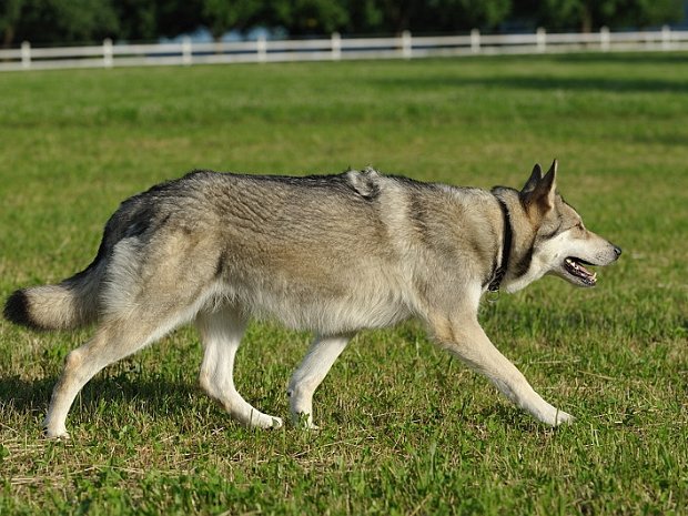 23-06-2012 Babybauch