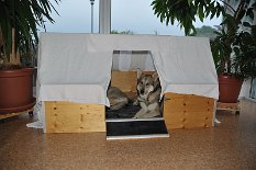 DSC_8804 Wurfkiste mit Dach