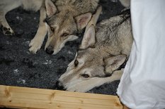 DSC_8882 gemütlich hier!