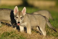 DSC_5820_8_Wochen 8 Wochen