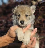 DSC_1086_Tag_28 28. Lebenstag