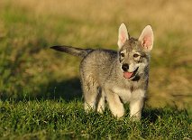DSC_6336_8_Wochen 8 Wochen