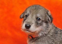 DSC_0480_Tag_21 21. Lebenstag