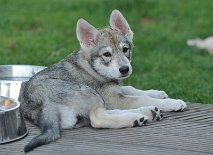 DSC_7077_8_Wochen 8 Wochen