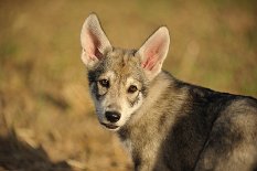 DSC_7953_10_Wochen 10 Wochen