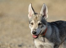 DSC_8206_11_Wochen 11 Wochen