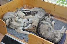 DSC_0004 Was soll ich dazu sagen :))?
