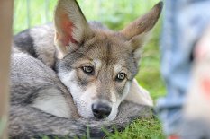 DSC_4648_16_Wochen 16 Wochen alt