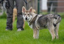 DSC_4373_16_Wochen 16 Wochen alt