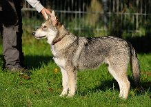 DSC_4779_16_Wochen 16 Wochen alt