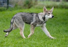 DSC_4759_16_Wochen 16 Wochen alt