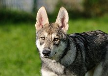 DSC_4792_16_Wochen 16 Wochen alt