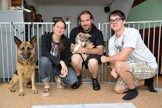 DSC_9789_Tag_62 Das ist die neue Familie von Navajo. Er wird mit Schäferhündin Bora und SWH Rüde 