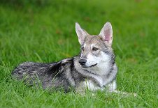 DSC_4550_16_Wochen 16 Wochen alt