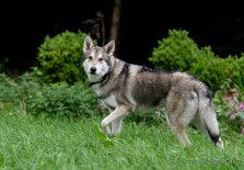 DSC_0414_1_Jahr_4_Monate 1 Jahr 4 Monate alt