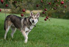 DSC_0828_1_Jahr_4_Monate 1 Jahr 4 Monate alt