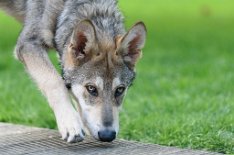 DSC_0806_21_Wochen 5 Monate alt