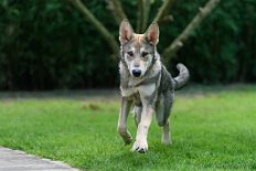 DSC_0839_21_Wochen 5 Monate alt