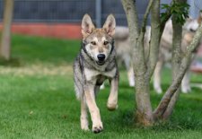 DSC_0870_21_Wochen 5 Monate alt