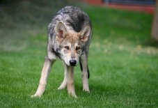 DSC_0921_21_Wochen 5 Monate alt