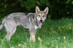 DSC_1168_21_Wochen 5 Monate alt