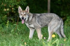 DSC_1179_21_Wochen 5 Monate alt