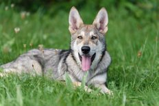 DSC_1294_21_Wochen 5 Monate alt