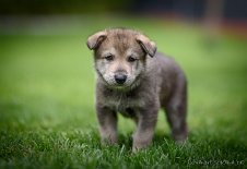 DSC_1752_31_Tage 4 Wochen alt