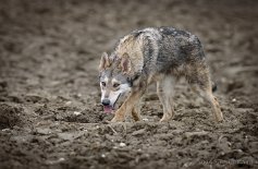 DSC_3506_8_Monate 8 Monate alt