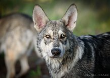 DSC_0379_20_Wochen 5 Monate alt