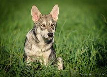 DSC_0585_20_Wochen 5 Monate alt