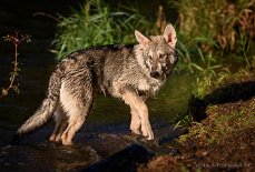 DSC_0651_20_Wochen 5 Monate alt