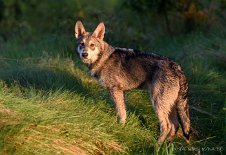 DSC_0751_20_Wochen 5 Monate alt