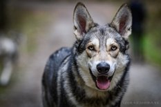 DSC_2128_2_Jahre 2 Jahre alt