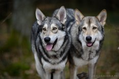 DSC_2150_2_Jahre 2 Jahre alt