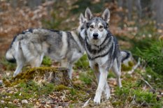 DSC_2462_2_Jahre 2 Jahre alt